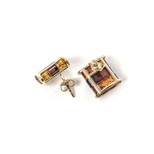 Amber Earrings with 14k Gold with Push clasp