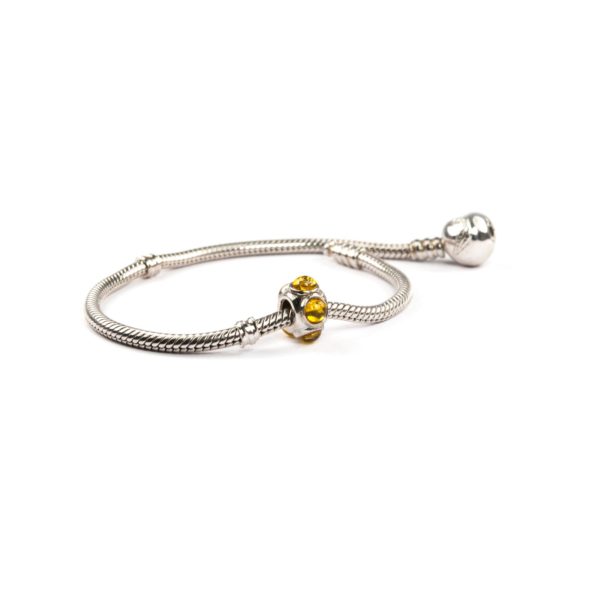 Silver Charm With Yellow Amber Side