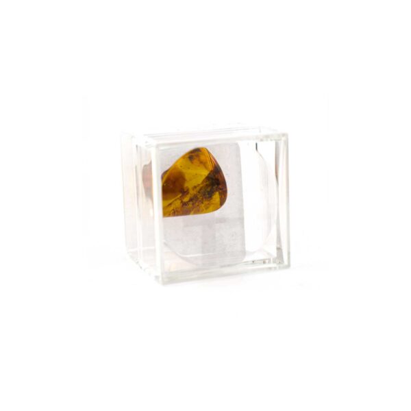 Plastic capsule with amber piece