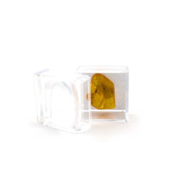 Small Plastic capsule containing Amber Piece with Super Inclusion