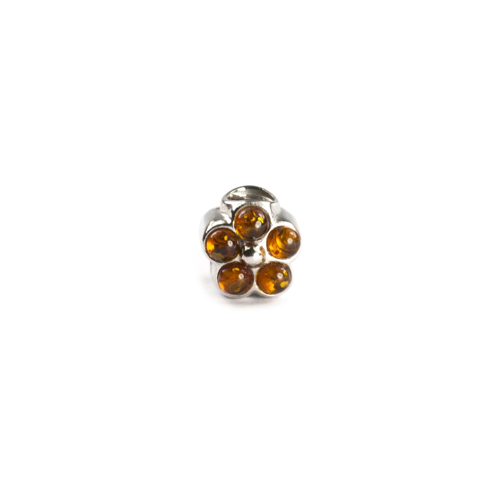 Amber pandora clearance charm